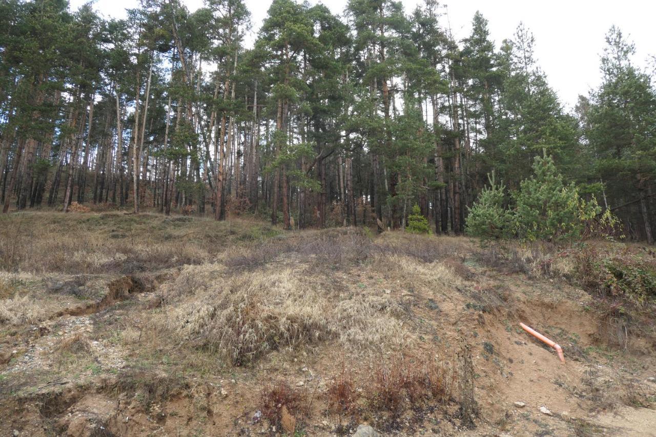 Nikol 2 Deluxe Lägenhet Velingrad Exteriör bild