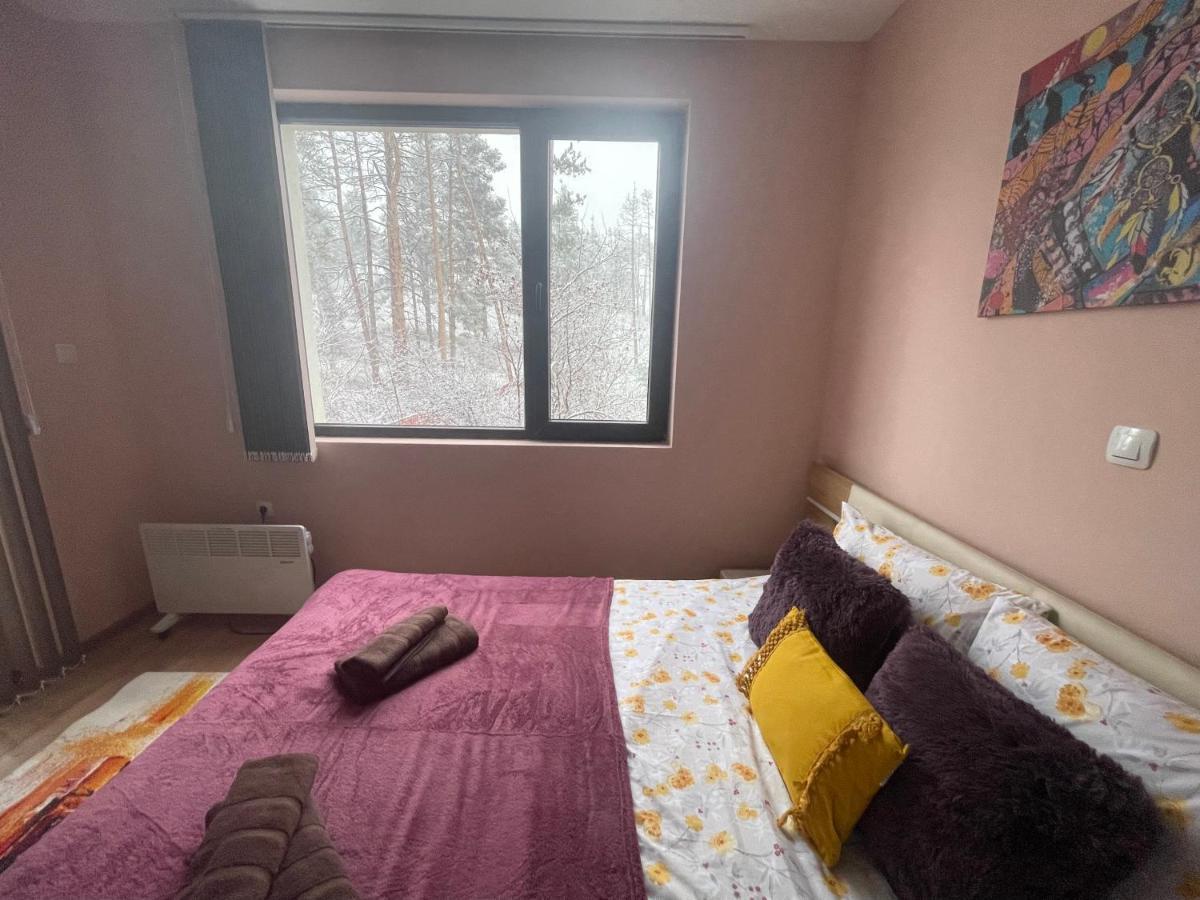 Nikol 2 Deluxe Lägenhet Velingrad Exteriör bild